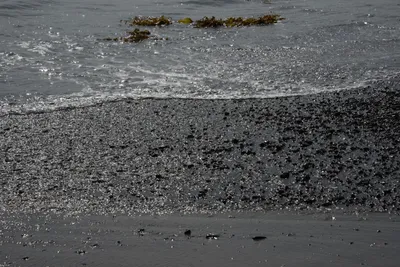 DSC_2273 (Large).JPG